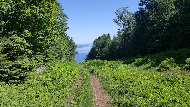 Sentier de retour vers le stationnement du mont Owls Head