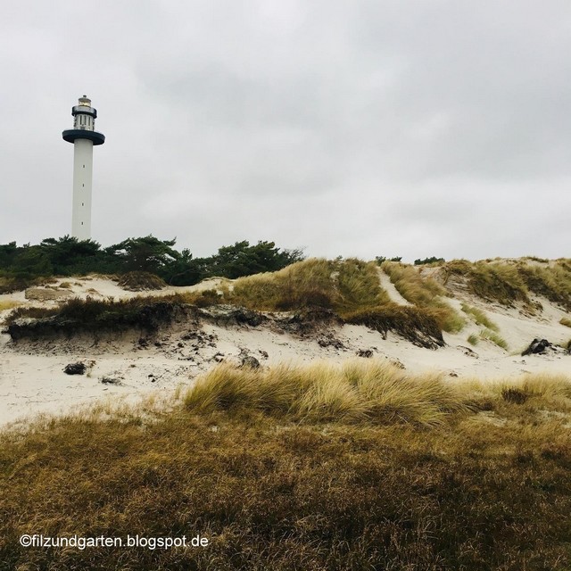 Filz und Garten Gartenblog Winter auf Bornholm