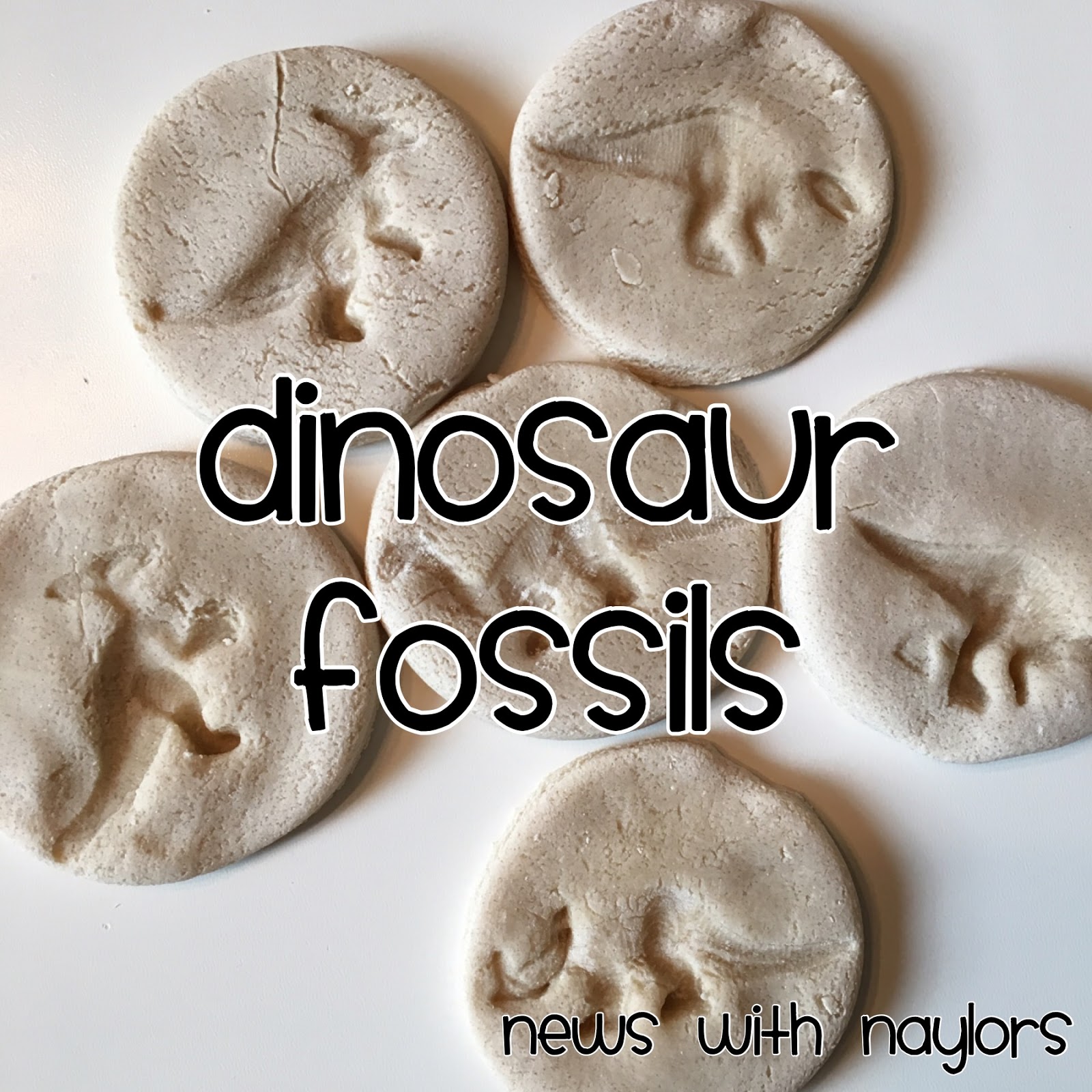 Homemade Dinosaur Fossils