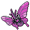 venomoth.gif (60×60)