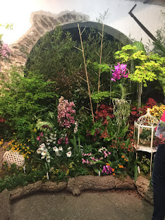 , Mostre primaverili: Horti di Veio e Monteporzio catone 2017, diarid'orchidee