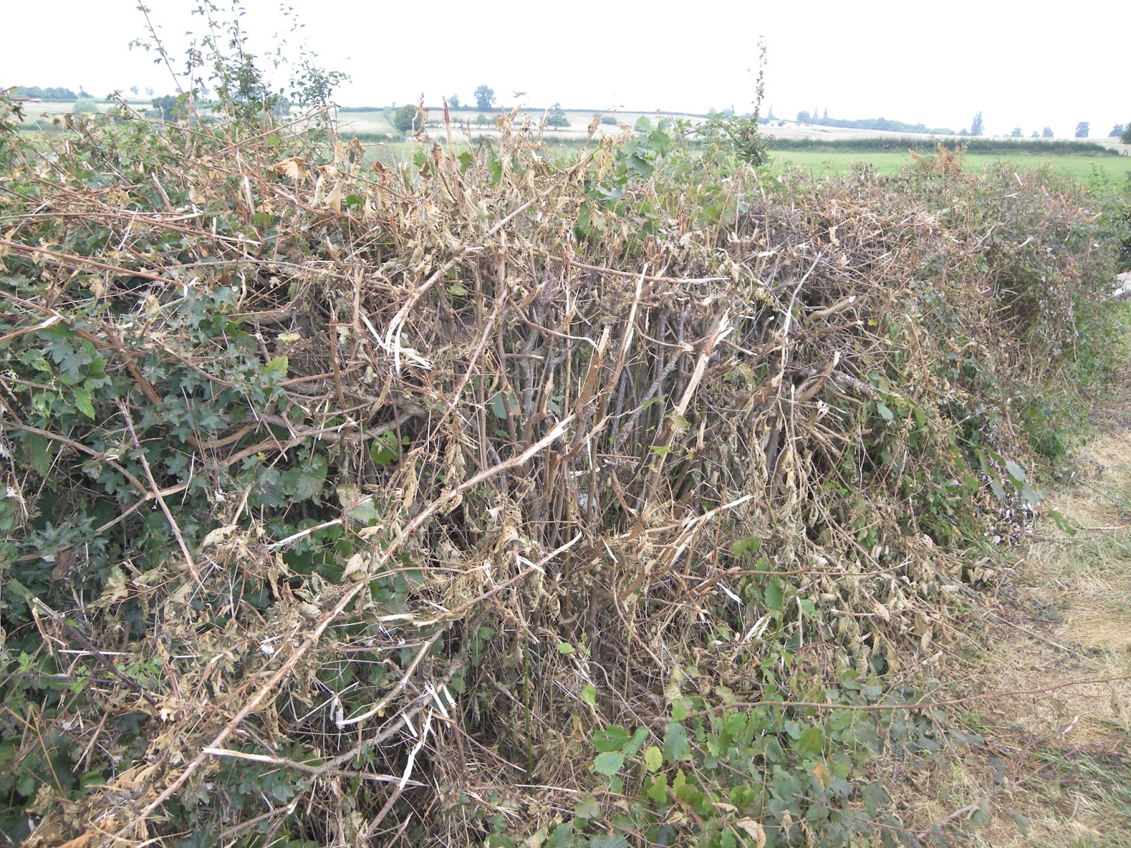 Renaissance Rurale Pesticides, destruction de haies, autres dégradations... Réagir