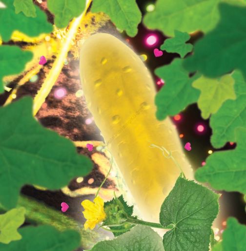 Resensi Buku Anak Timun Mas Dongeng 3d Nusantara