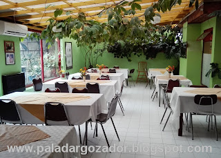 Restaurante Colo Colo Romeral terraza interior