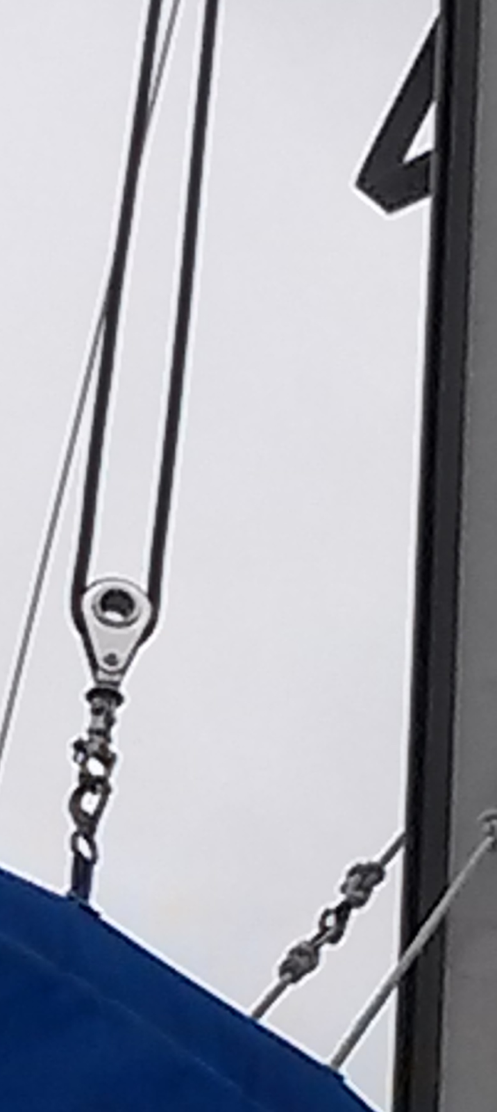 Boldly Go Sailing The Coolest Halyard on the