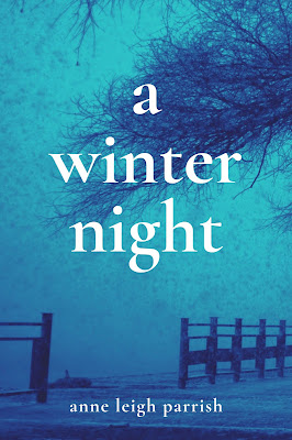 A Winter Night