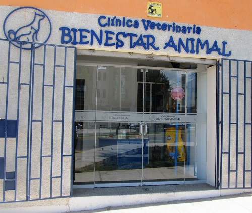 Veterinaria Bienestar Animal