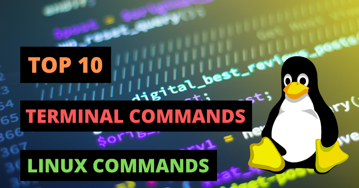Top 10 Linux Commands - Expo Ashish