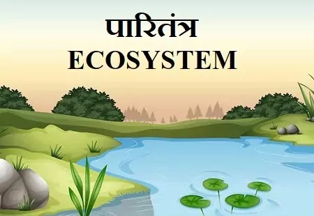 ecosystem essay in hindi