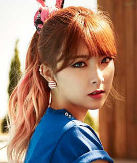 \uba54\uc774\uc800 \uc0ac\uc774\ud2b8 \uac00\uc785\uc758 \uc911\uc694\uc131 - \uba39\ud280\uac00\uc774\ub4dc