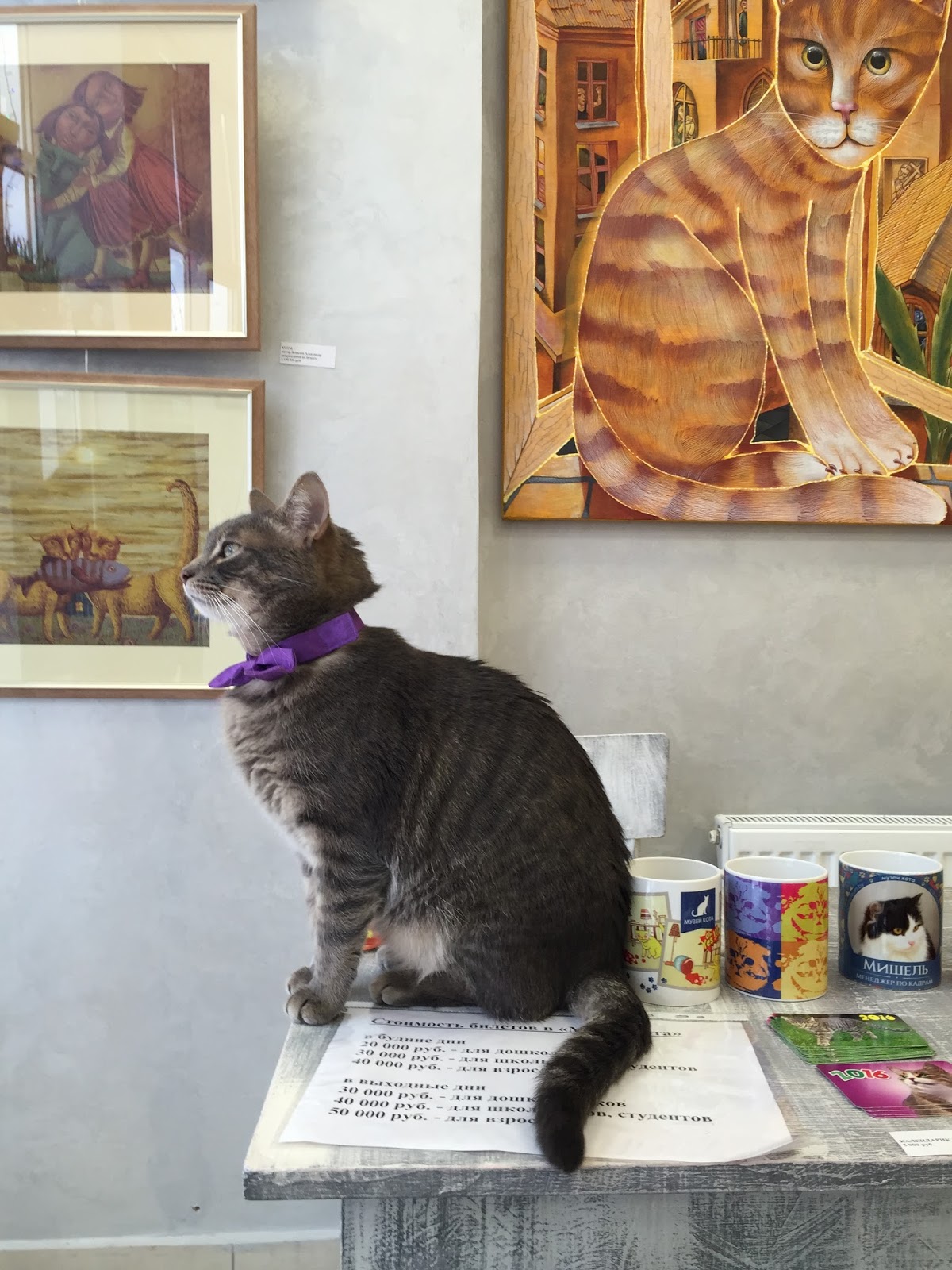 Кот в музее. Коты эрмитажа. Эрмитаж санкт-петербург коты. Кот хранитель музея. Дом музей хемингуэя с кошками.