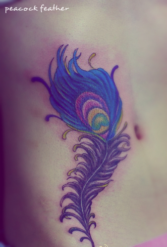 Free Tattoo Designs : Peacock feather tattoo designs