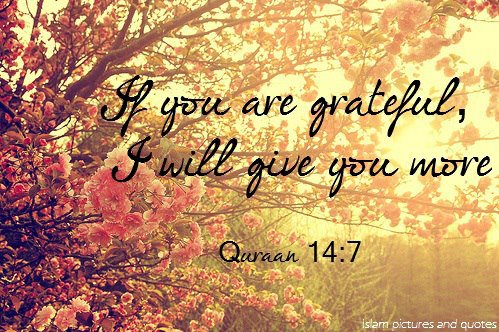 Promise of Allah: If you are grateful, I will give you more.