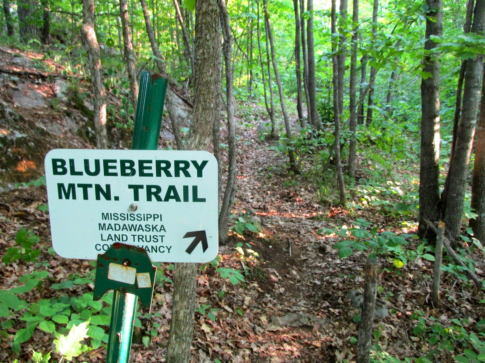 The Passionate Hiker: Blueberry Mountain