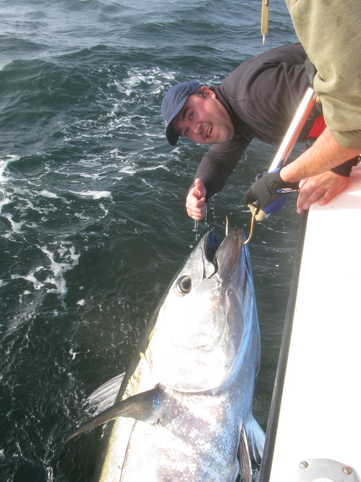 M/S Gotland: Har du lust att bli med till Cape Cod och fiska Bluefin tuna?