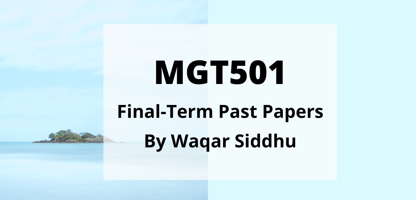 MGT501 Final Term Past Papers waqar siddhu