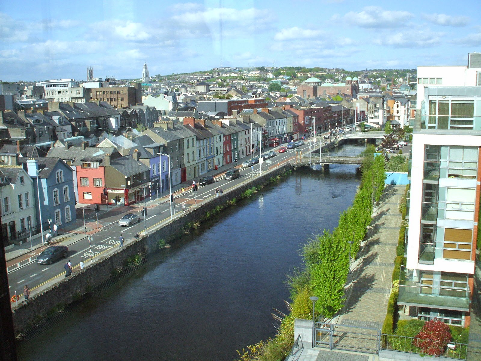 The OnLine Buzzletter Ireland's Cork City Toilet Rat Caution!