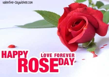 Rose day Images 2020 Rose day Images 2020