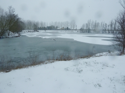 Gone Fishin's lake frozen over in 2012