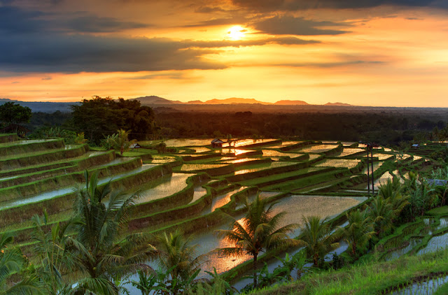 Known to Foreigners, Here are Interesting Facts About the Island of Bali
