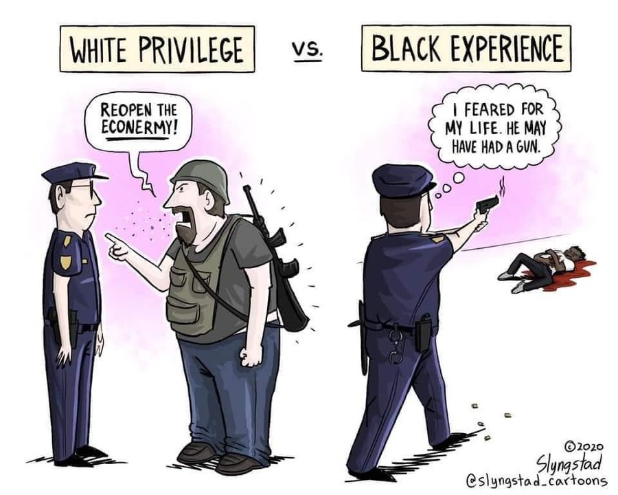 Fishermagical Thought White Privilege vs. Black Experience A Cartoon