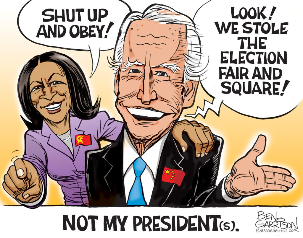 PICTURES and MEMES Biden_not_my_president-1024x806