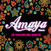 Orquesta Amaya Hnos - Que bonito - Single Compra-Web MP3 320kbps 2016
