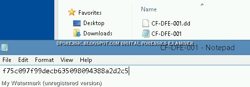 prodiscover forensics file formats