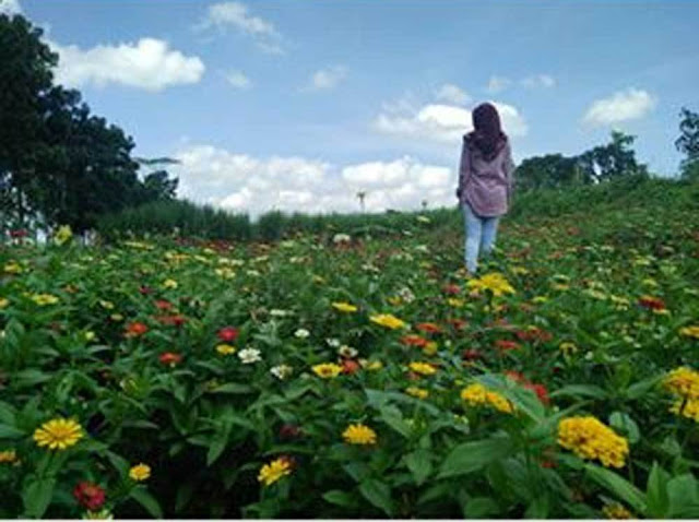 Tempat Wisata Instagramable di Banyuwangi