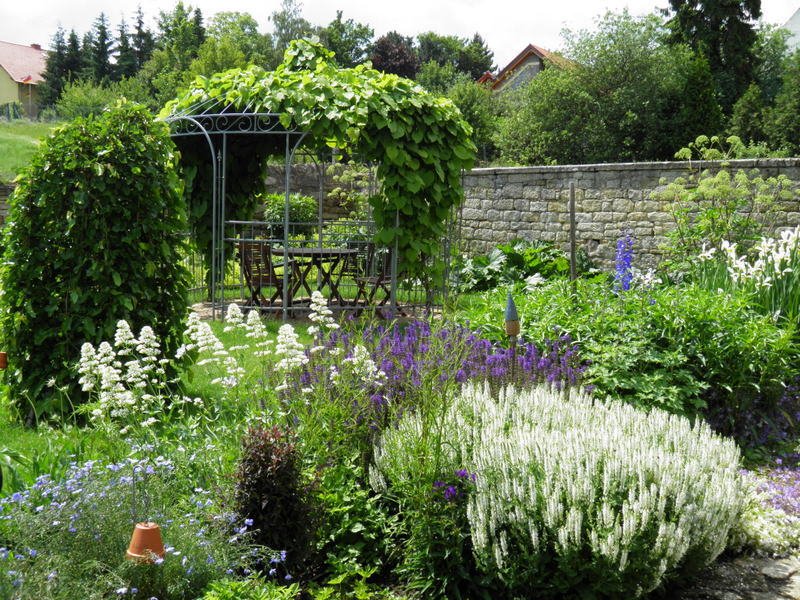 Gartenfuhrer Rheinhessen Eine Rheinhessische Gartenfuhrerin Im Abendprogramm Des Swr