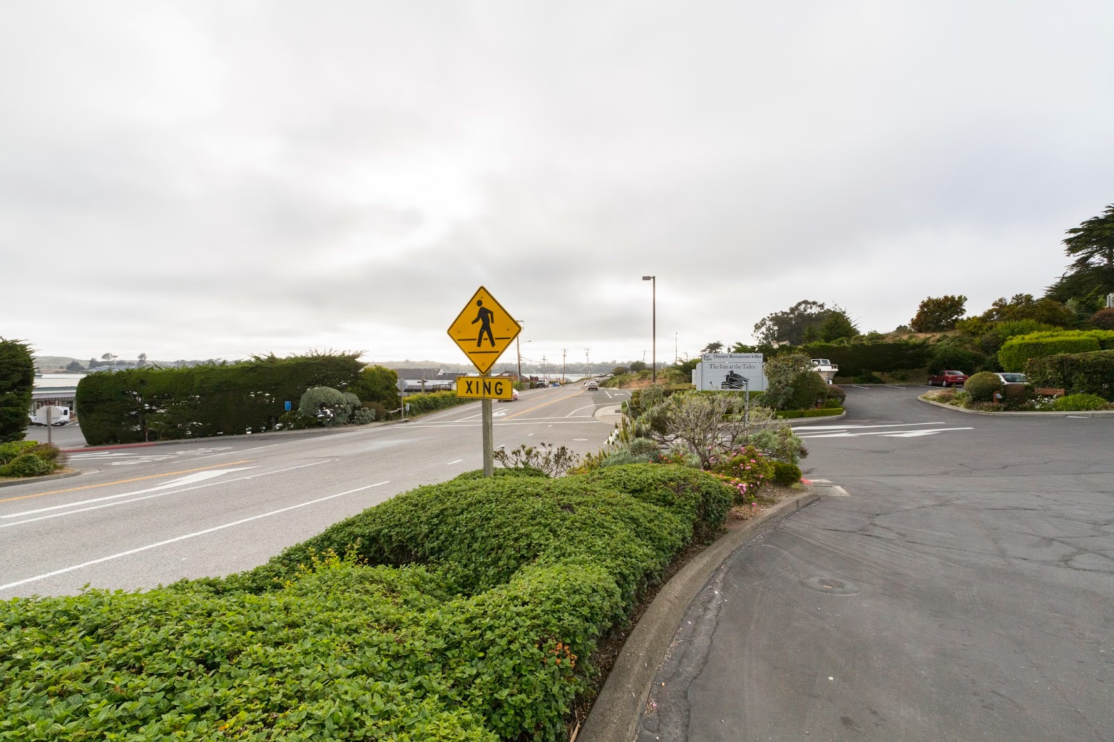 Naturetastic Blog Tomales, Bodega Bay, Duncans Mills, Jenner California's Coast