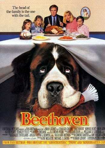 Beethoven 1992 Dual Audio [Hindi Eng] 720p HDTV 800mb