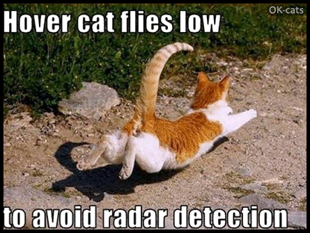 Art Cat GIF with caption • Hover cat flies LOW to avoid radar detection, hehe. Art Cat GIF with caption • Hover cat flies LOW to avoid radar detection, hehe.