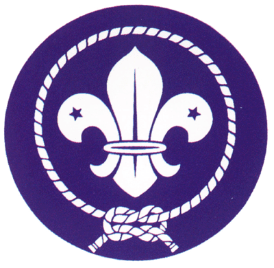 Escoteirando Começando a Servir! (FlordeLis)