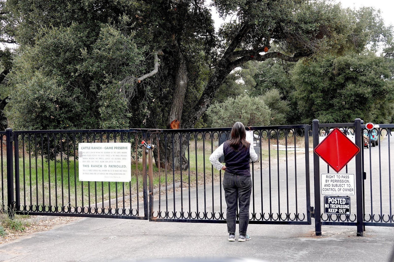 Looking for Lakes Corte Madera