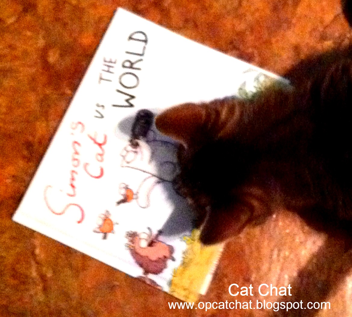 Simon's Cat Une Bêtise Par Jour 2015 - Cartonné - Simon Tofield - Achat - Foto 11