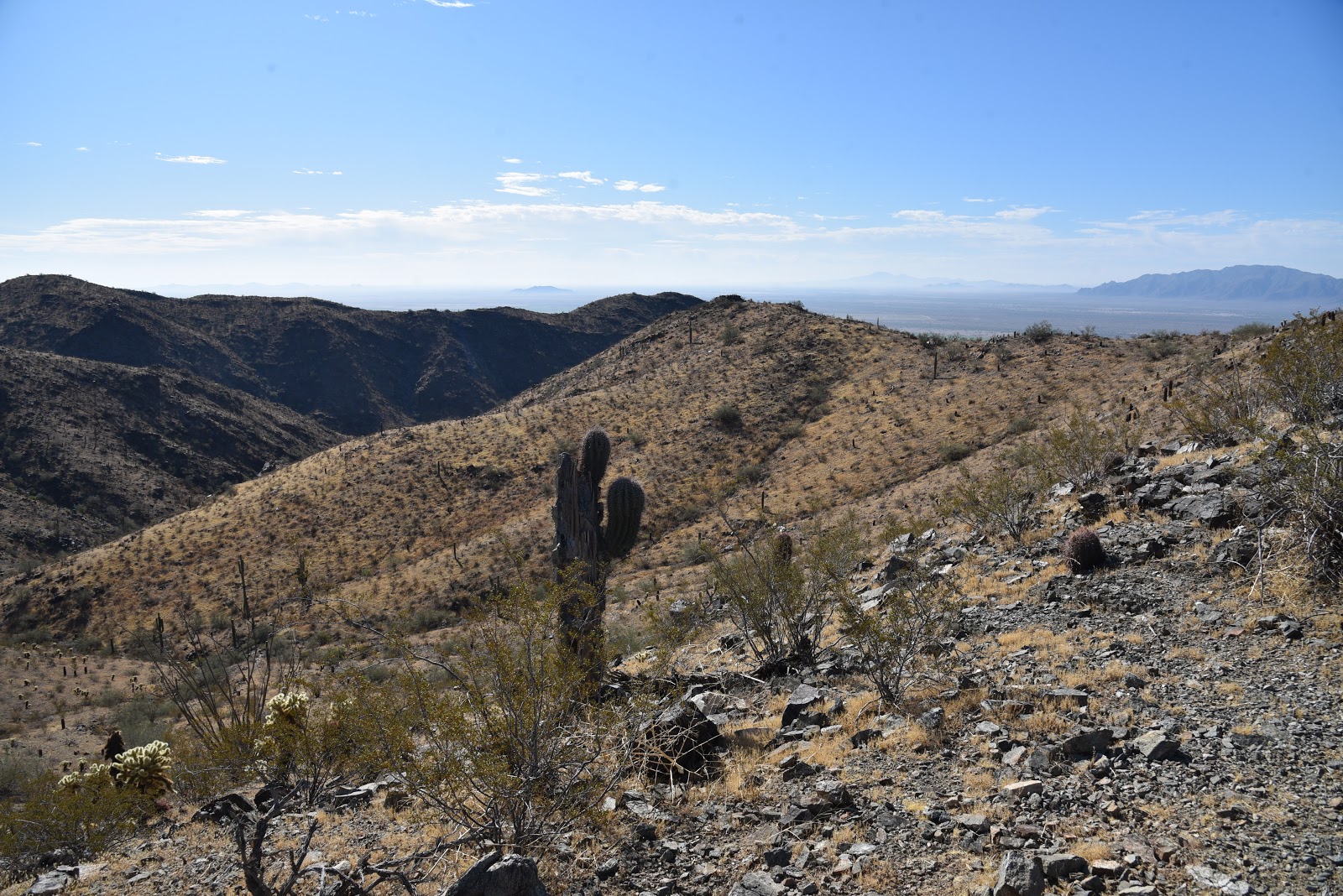 Arizona Hiking RANGER TRAIL