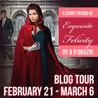 Blog Tour: A Short Period of Exquisite Felicity by Amy D'Orazio