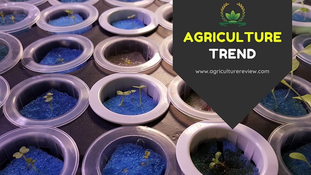 agriculture trend