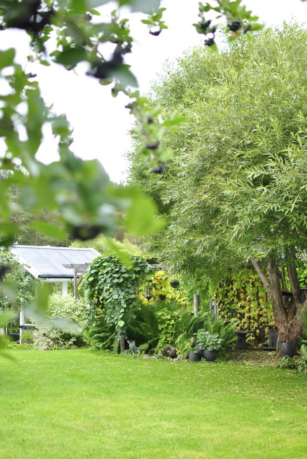 höst trädgård pergola bollpil växthus hängalm