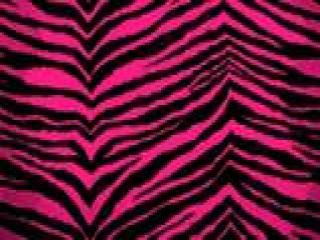 Pink Zebra Skin Animal Print Pattern. Pink Zebra Background