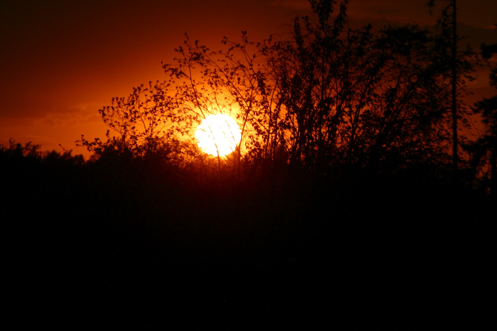 Ontario's Sunset Country The Art of Taking Sunset Pictures