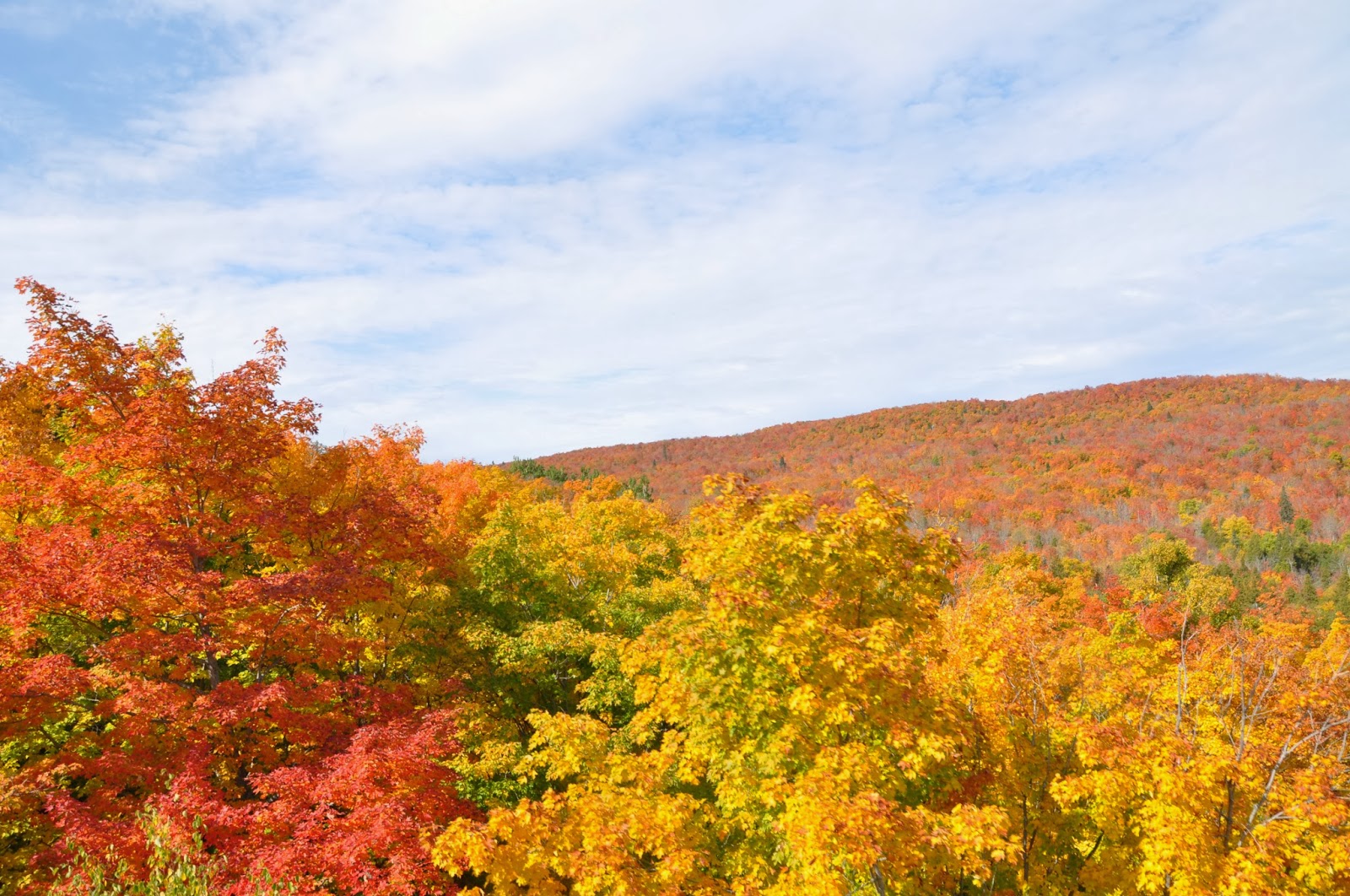 Orbis Catholicus Secundus: Lutsen Fall Colors on Lake Superior