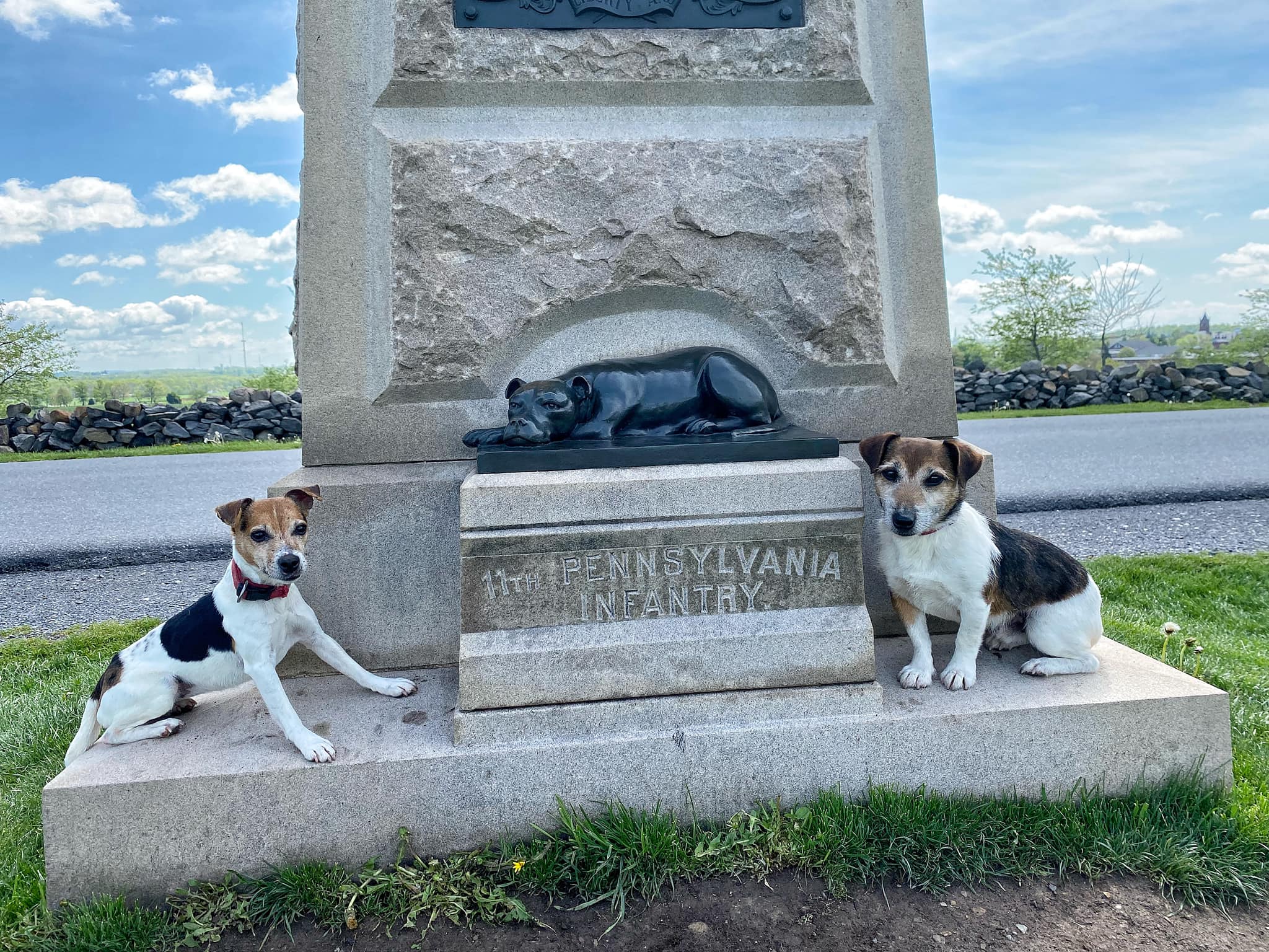 Terrierman's Daily Dose Sallie of Gettysburg