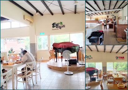 南崁美食-蕃薯藤自然食堂-有機天然食物˙姊妹淘放心享用