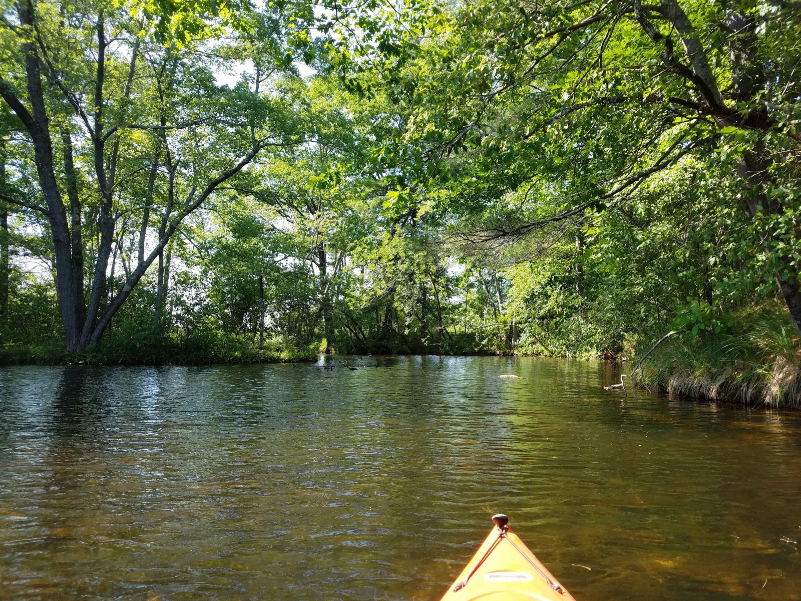 Recreational Kayaking in Maine Saco River, Standish