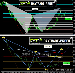usd cad past and future move