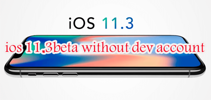 https://www.73abdel.com/2018/01/install-ios11.3beta-iphone-ipad-without-dev-account.html