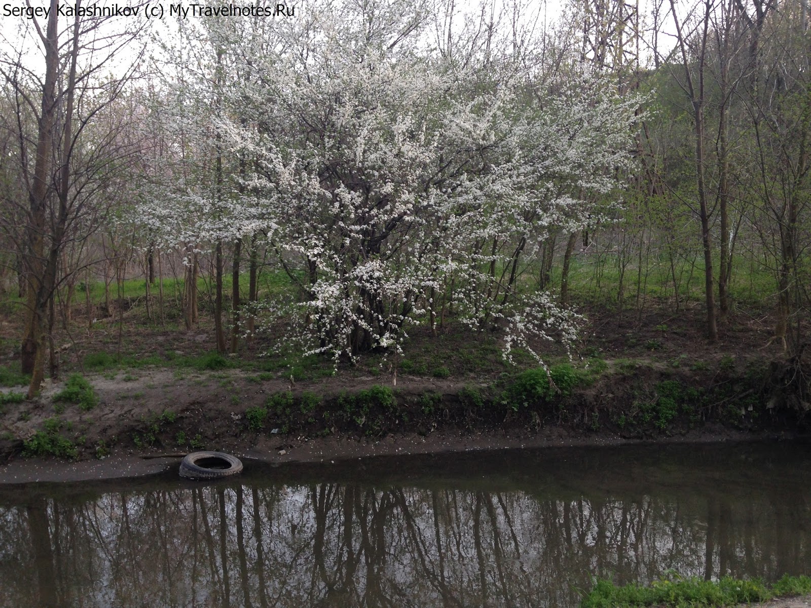 Парк авиаторов ростов на дону