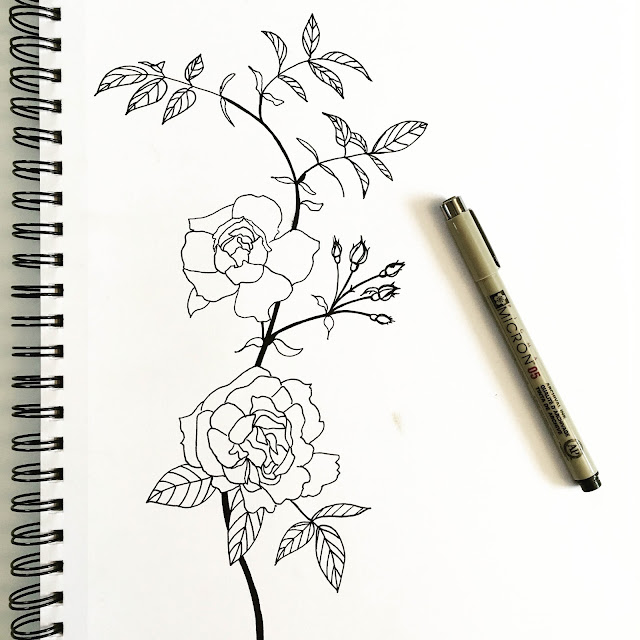 Sketchbook, drawing, sketches, roses, botanical drawing, botanical art, pen drawing, Micron Pen, Anne Butera, My Giant Strawberry